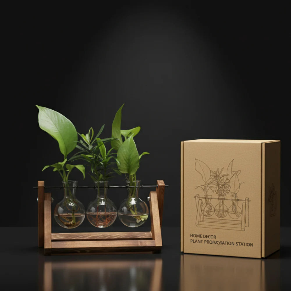 Hydroponic Glass Bulb Vase with Wooden Stand for Home Office Decor