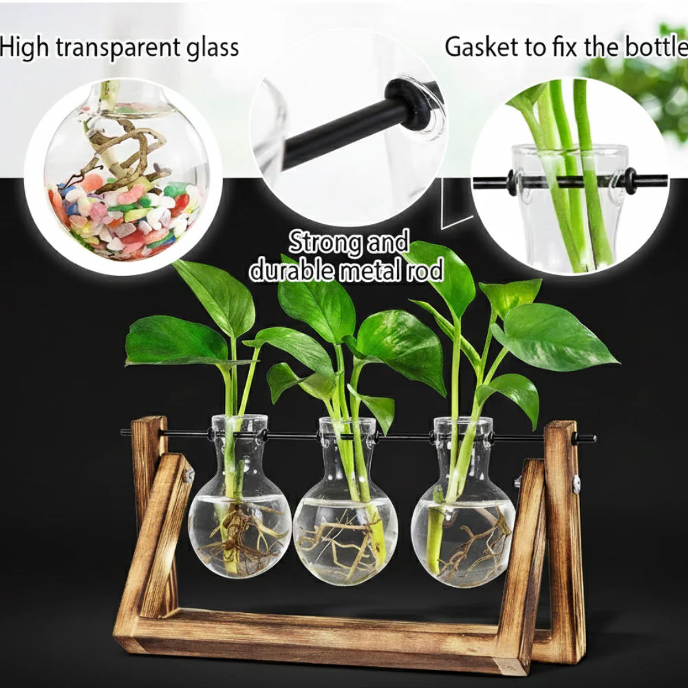 Hydroponic Glass Bulb Vase with Wooden Stand for Home Office Decor